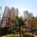 가로수 공인중개사사무소 이미지