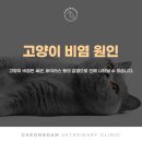 청담동물병원 이미지