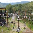 태백 관광지 투어 이미지