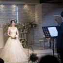 플로르제이
