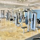 다짐 피트니스 이미지