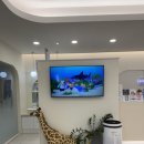 보듬치과의원 이미지