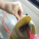 더봄치과기공소 이미지