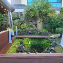 제주그밤 이미지