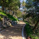 해안로 249번길 이미지