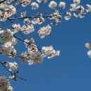 신평동392 네이버블로그