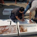 동해지방해양경찰청 이미지