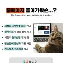 애드서포터