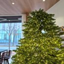 머피애견 | 파주 출판단지 아이랑 카페 추천 페이지온커피 내돈내산으로 다녀온 후기