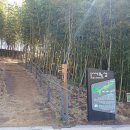 씨릉섬출렁다리 이미지