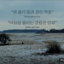 마담퐁텐 이미지