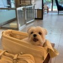 협진농장 이미지