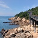 구불3길(큰들길) 이미지