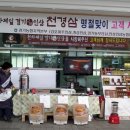 이천고려인삼