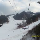 오크밸리 스노우파크 이미지