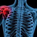 간석성모의원 이미지