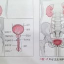 자경당한의원 이미지