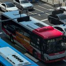 판교대장로 이미지