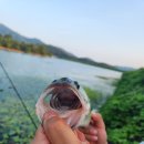 죽림낚시 이미지