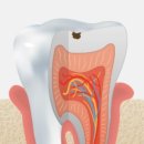 서울오브치과병원 이미지