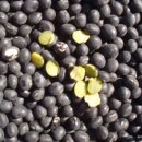 청자농장 이미지