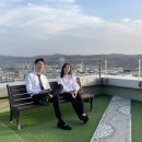 고울연;차 이미지