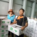 서구노인복지관(15) 이미지