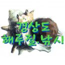 거제도해루질 후기