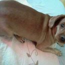 공주휴게소 이미지