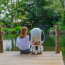 제주윈스톤 이미지