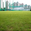 수원-0821 Daum카페