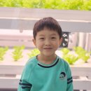 물누리체험관 Daum카페