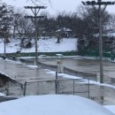 남산공원 시민회관 이미지