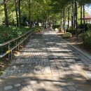 석전시장 | [경상남도 창원시 마산회원구] 동마산시장