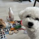 댕댕맛집 | 2026제9회 겨울공주 군밤축제/겨울공주 댕댕왕국 애견동반 오픈런평일방문후기 2/4수~2/8일