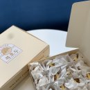 커낼여름치과보존과치과의원 이미지