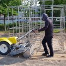 영화초교병설유치원 이미지