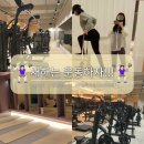 프리짐 휘트니스 | PT·필라테스 조지기] 새해 운동 결심이라면 여기! 24시간 대형짐 온플릭휘트니스 화정점 체험 후기