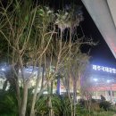 서본 | 제주공항 택시 승강장 줄 서본 후기 (카카오 택시)