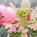 국제꽃식물원 이미지