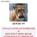 주)명동 이미지