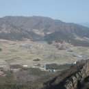 요곡 Daum카페