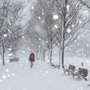 (주)지스트라 이미지