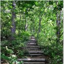 골말목장 | [100대명산 - 87] 덕항산 산행 - 2013. 7. 20(토)