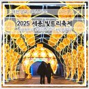 이응다리 남측 화장실 | 대전근교크리스마스 2025세종빛트리축제 위치 주차 꿀팁