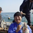 나정2리 이미지