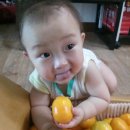 수민농장 Daum카페