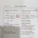 제주공인번역행정사사무소 네이버블로그