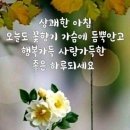 ♤이런 우리였으면 합니다♧ 이미지