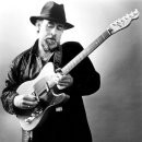 Roy Buchanan - Wayfairing Pilgrim 이미지